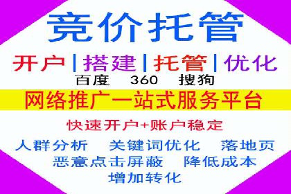 某品牌通过SEM关键词实现品牌推广的实战案例